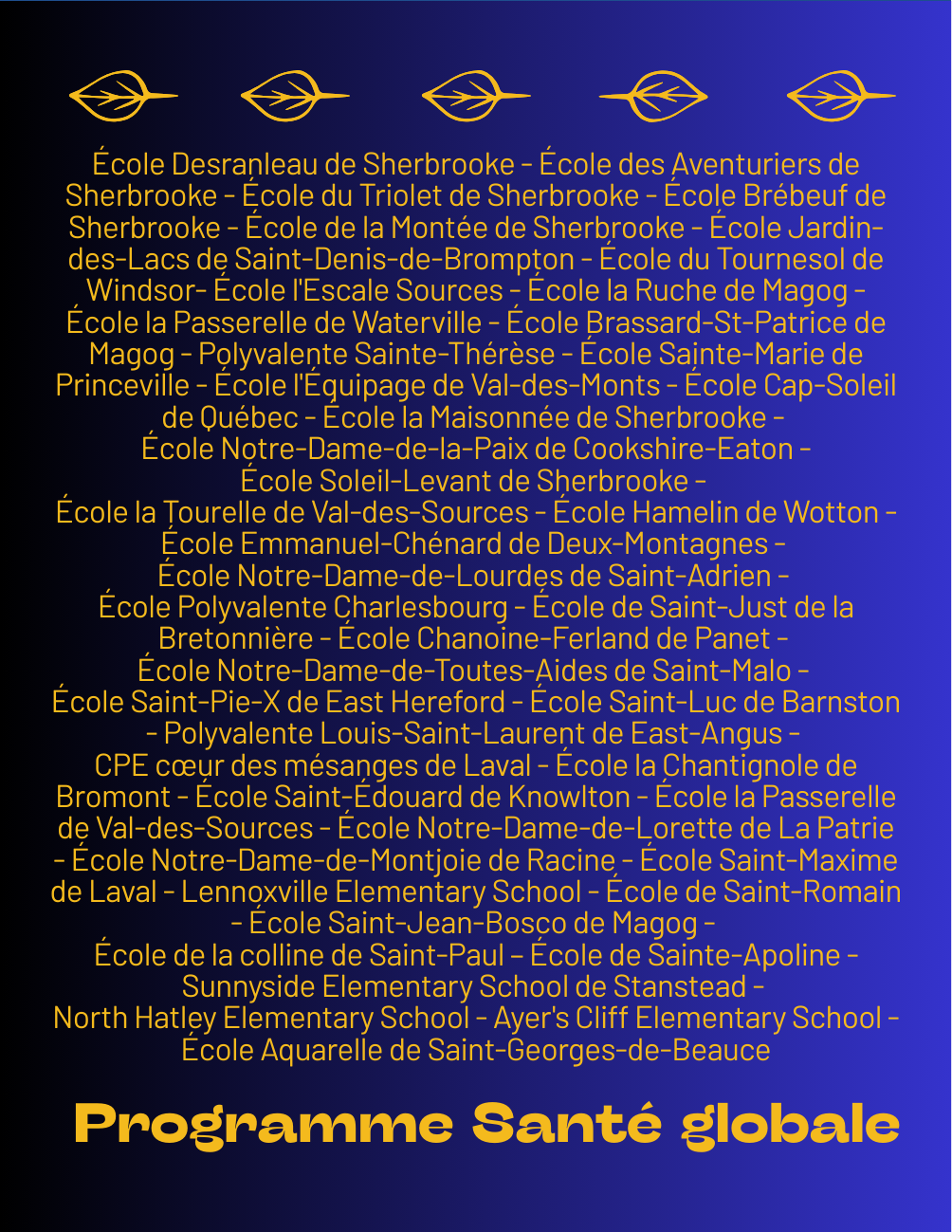 Chandail édition spéciale 2025-2026 – Programme Santé globale